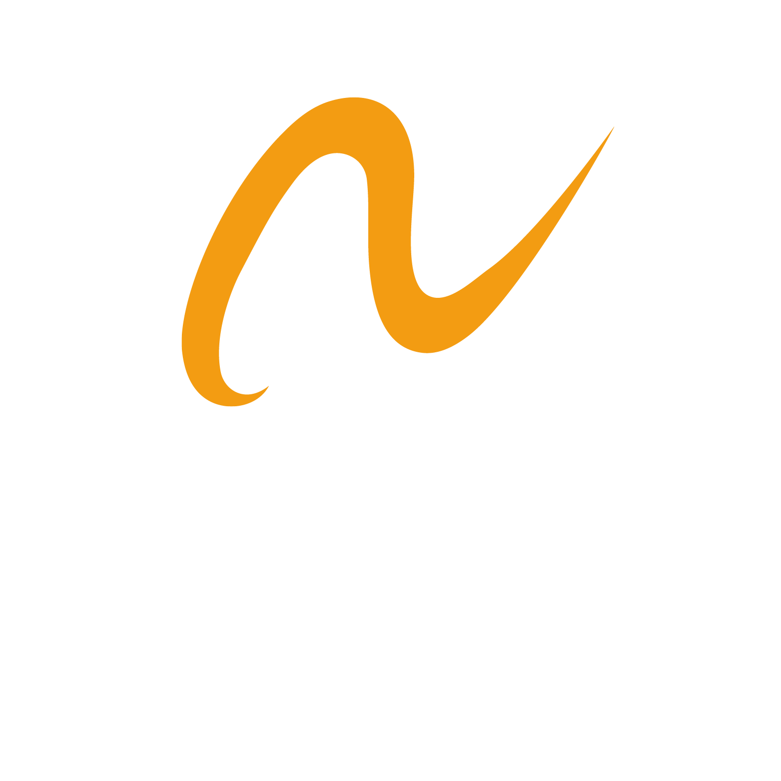 NextGen Tech Solutions Logo